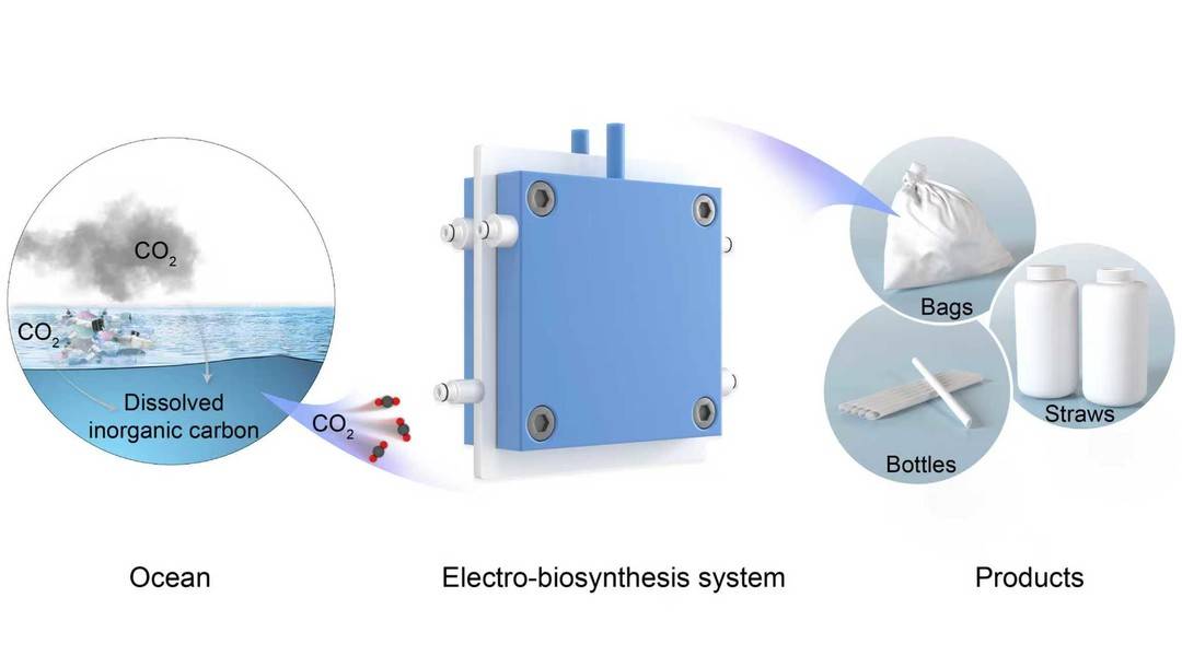 从诺奖发现到航空货运革命 中国科学家用二氧化碳“变废为宝”的绿色突破