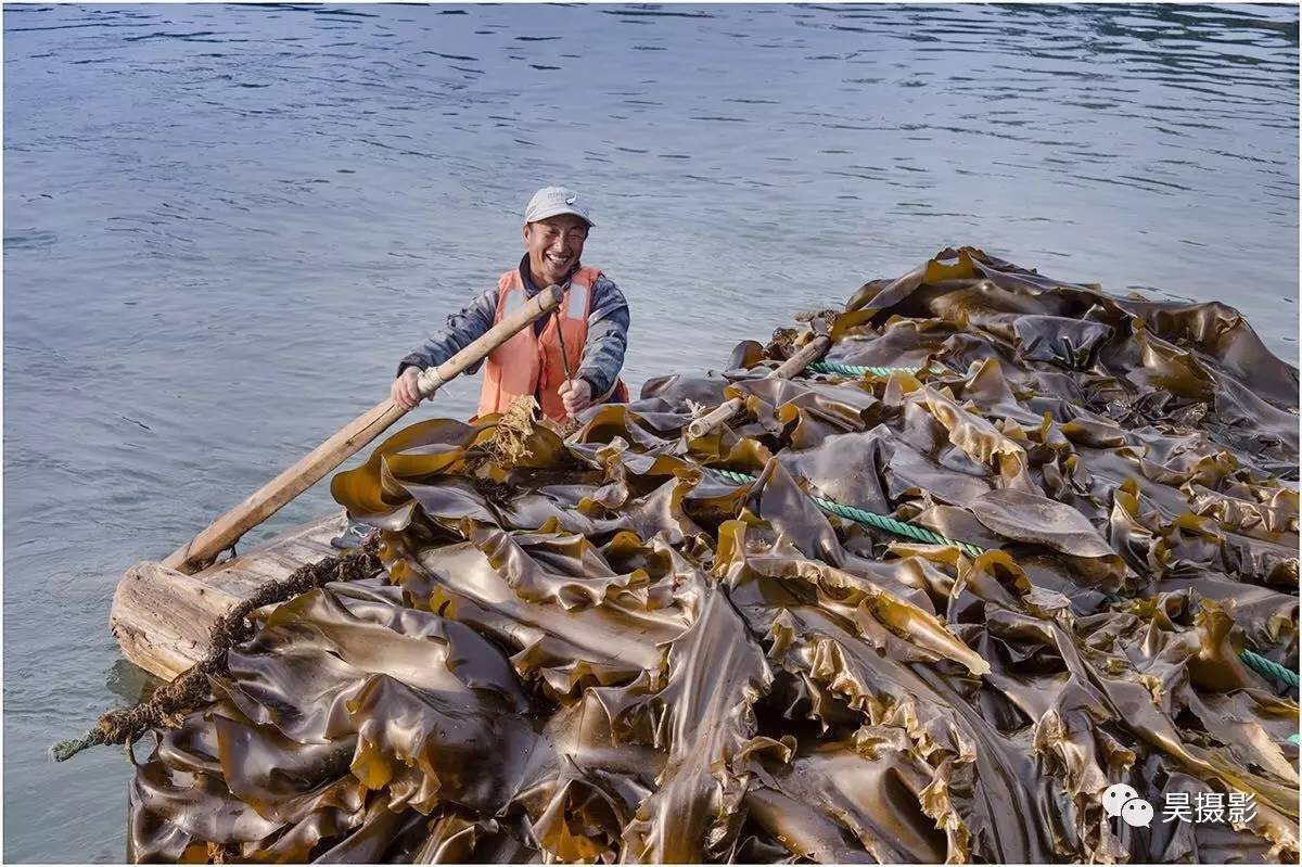 “陆路”大闸蟹 满载而归的“海上大丰收”